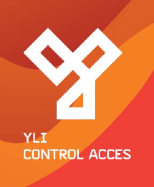 Yli